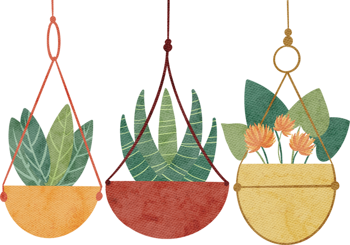 Watercolor Hanging Plants